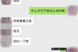 黑山为什么选择专业追讨公司来处理您的债务纠纷？